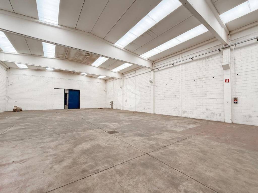 immagine annuncio 6 di 12