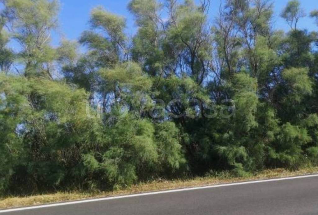 immagine annuncio 8 di 11