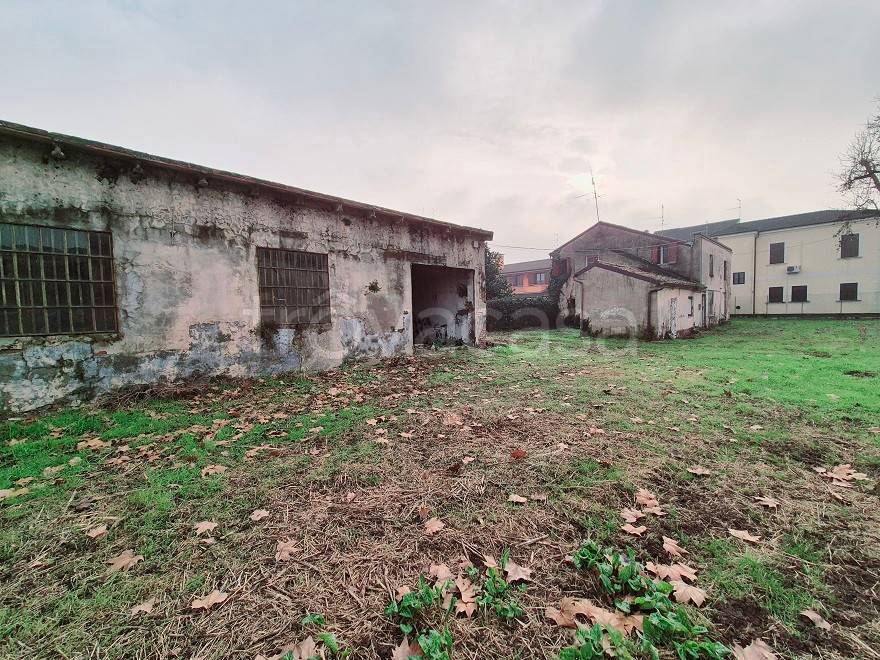 immagine annuncio 3 di 12