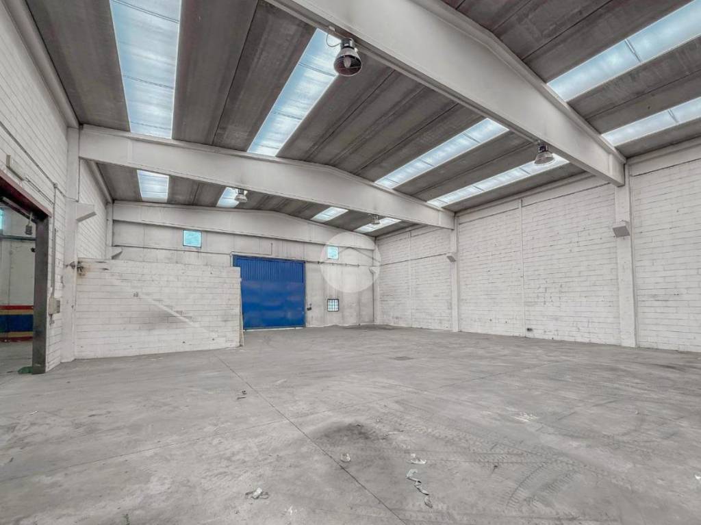 immagine annuncio 6 di 10