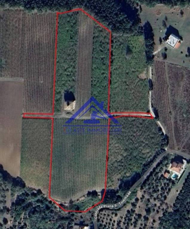 immagine annuncio 11 di 12