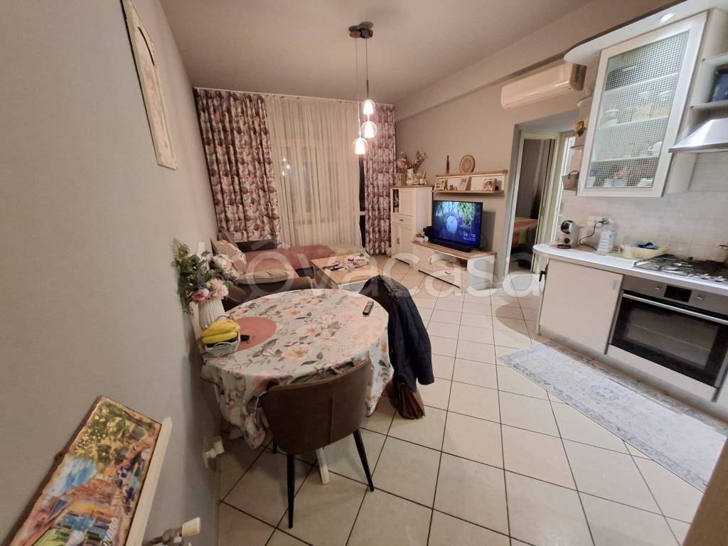 immagine annuncio 4 di 14