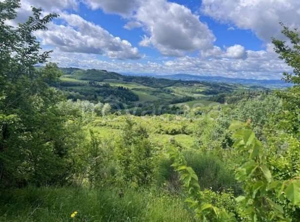 immagine annuncio 4 di 12