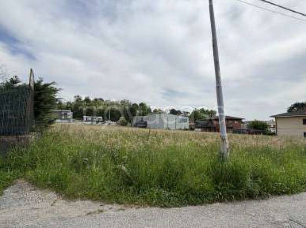 immagine annuncio 1 di 12