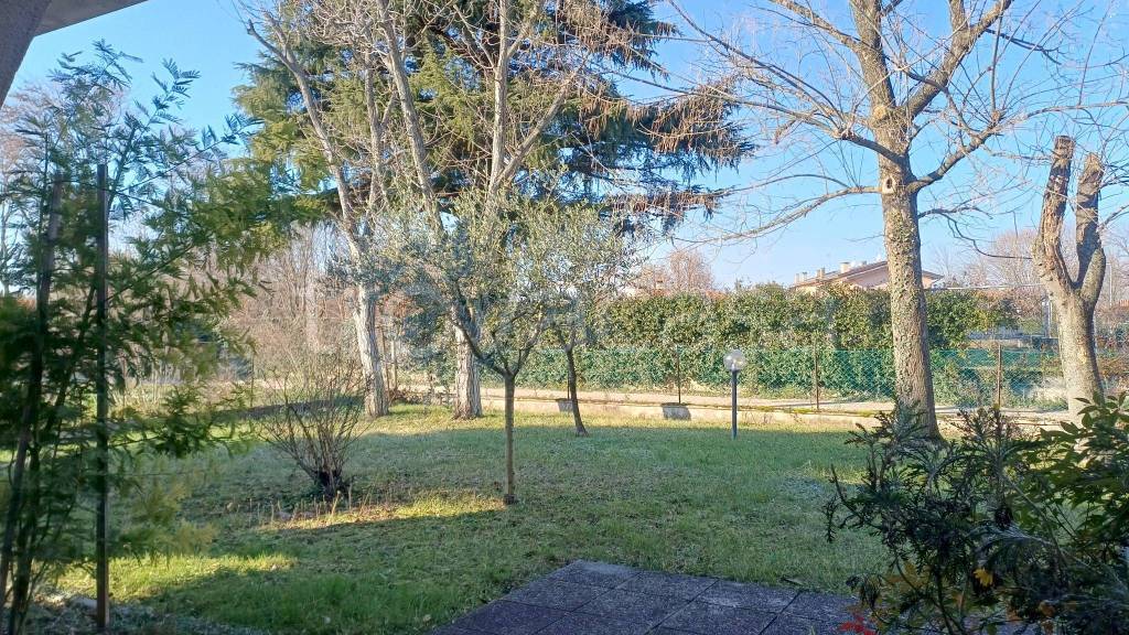 immagine annuncio 2 di 7