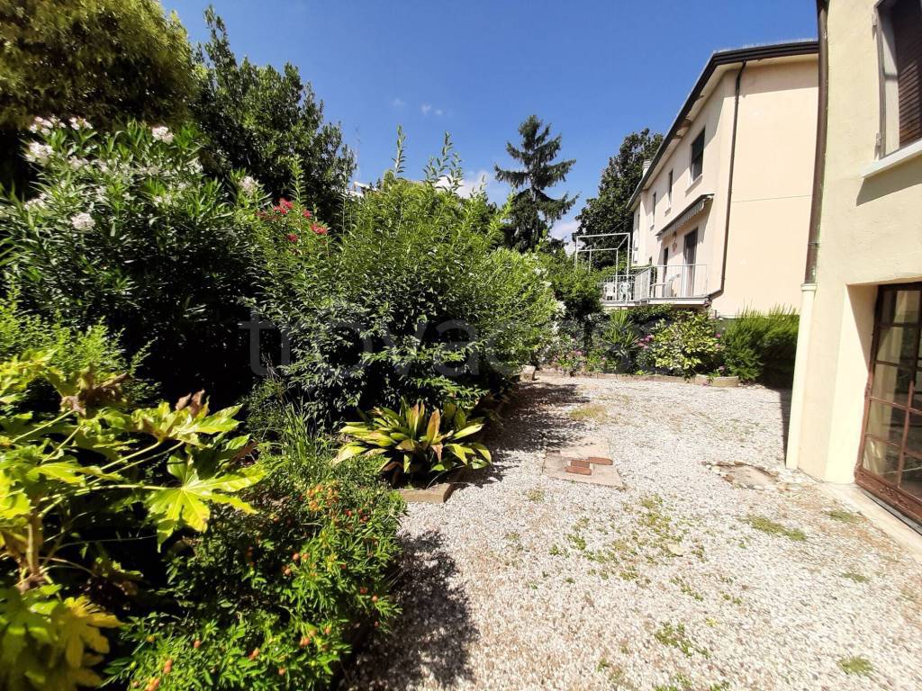 immagine annuncio 4 di 8