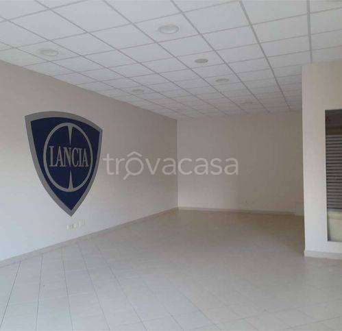 immagine annuncio 3 di 8