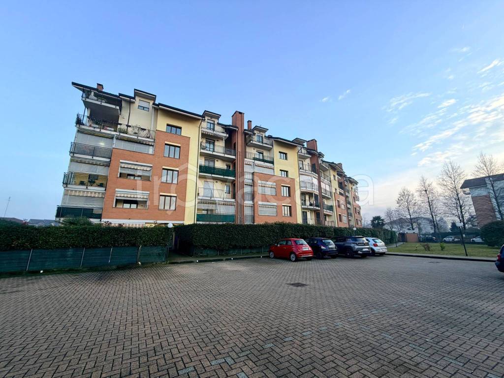 immagine annuncio 1 di 15