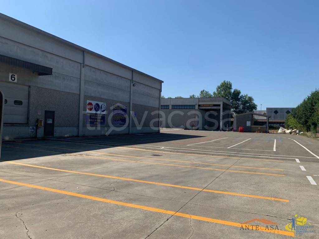 immagine annuncio 3 di 13