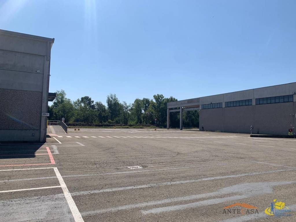 immagine annuncio 4 di 13