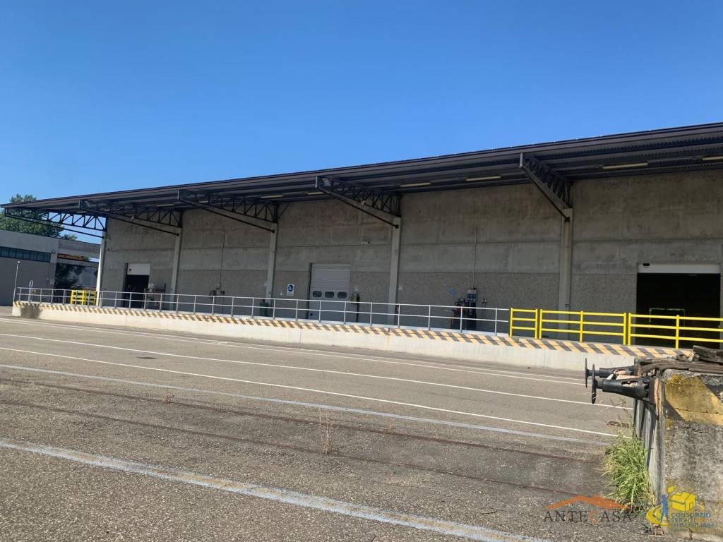 immagine annuncio 5 di 13