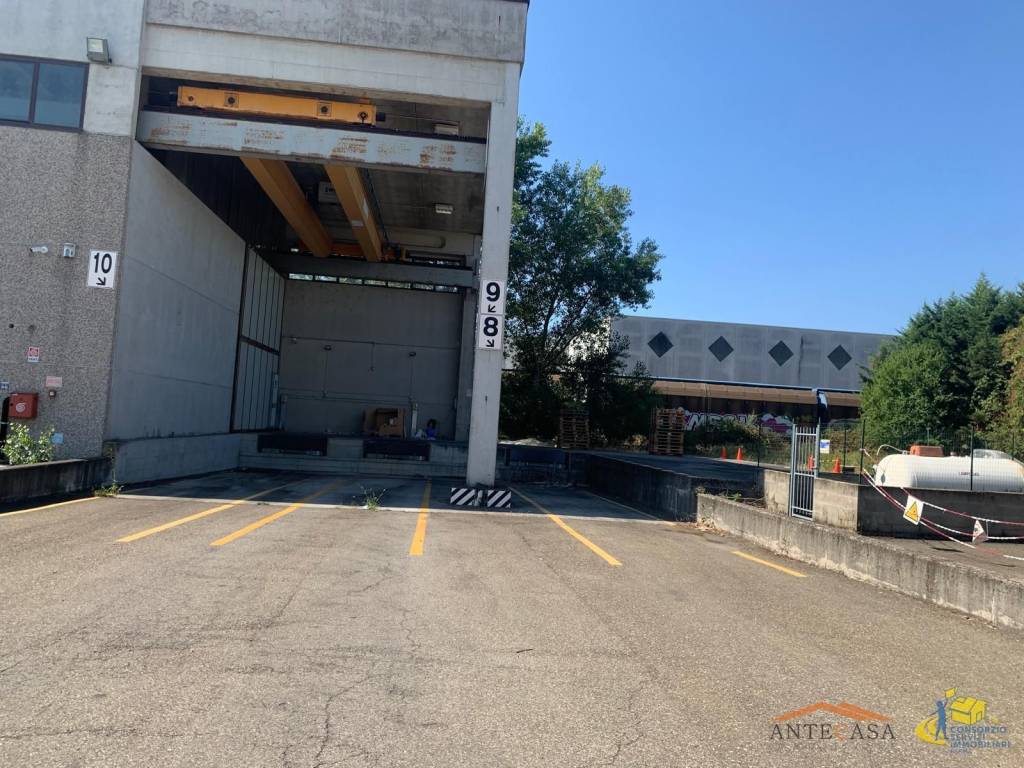 immagine annuncio 6 di 13