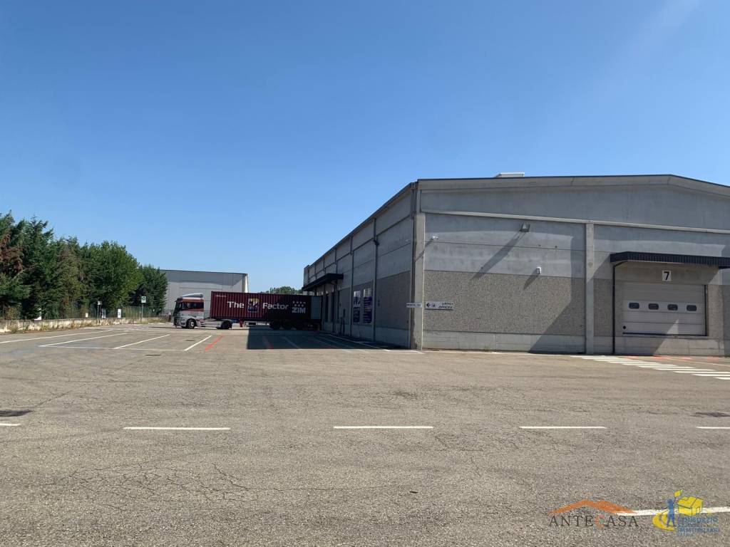 immagine annuncio 7 di 13