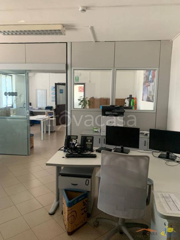 immagine annuncio 11 di 13