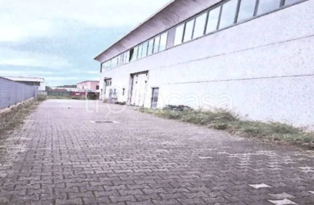 immagine annuncio 1 di 13