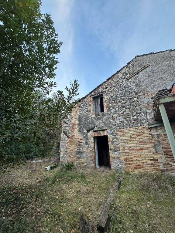 immagine annuncio 6 di 9