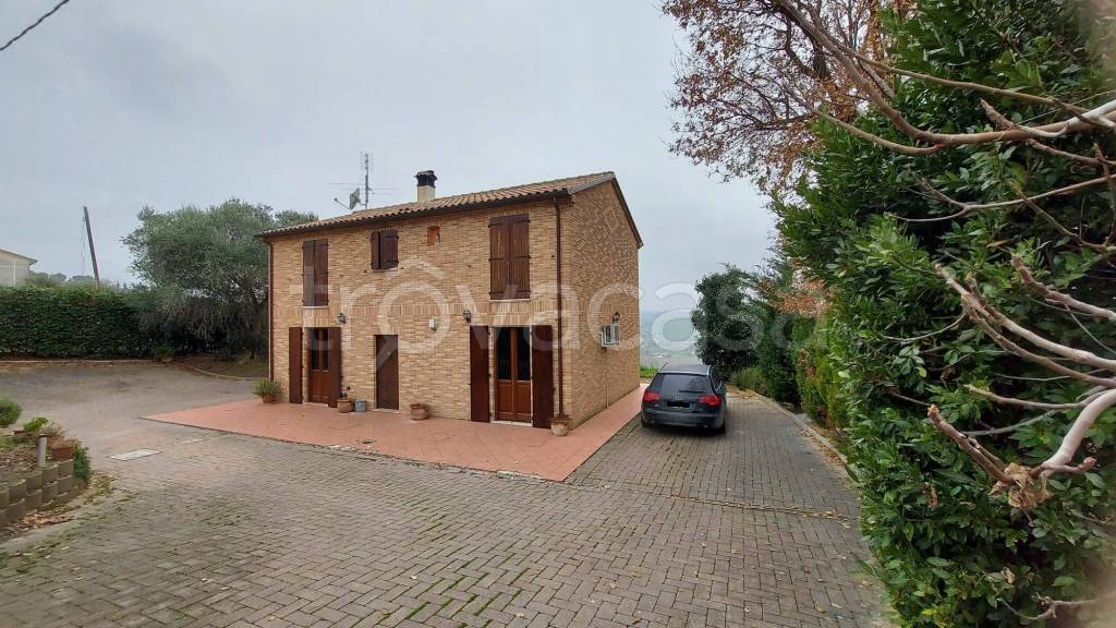 immagine annuncio 11 di 13