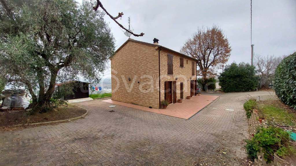 immagine annuncio 12 di 13