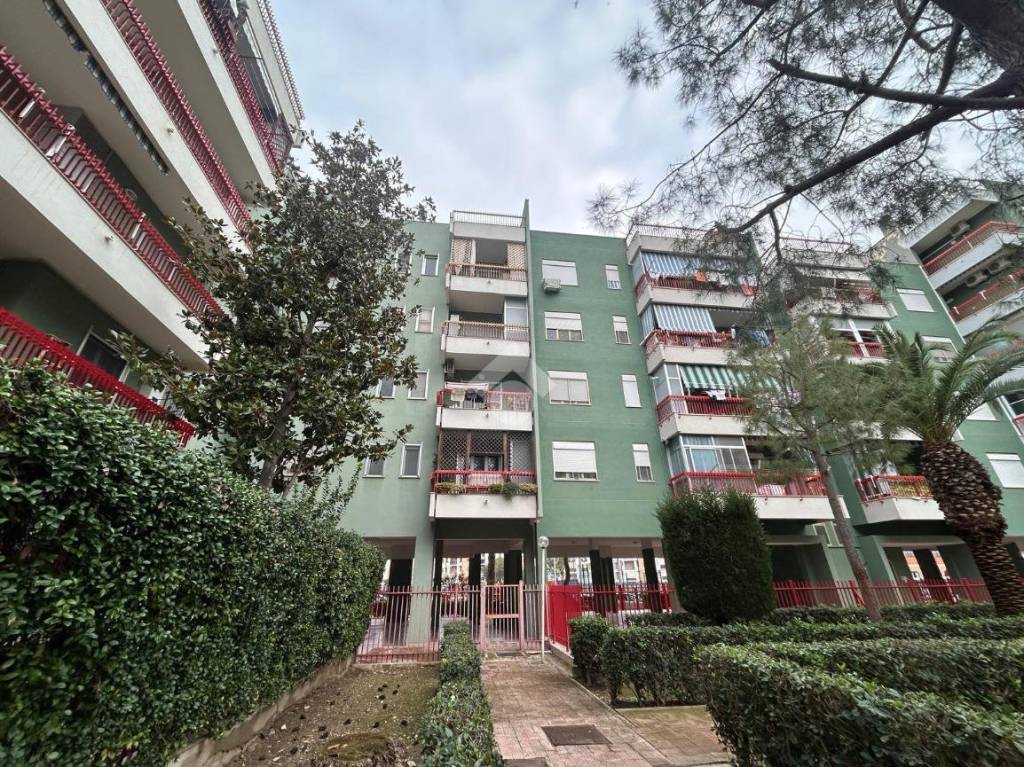 immagine annuncio 6 di 10