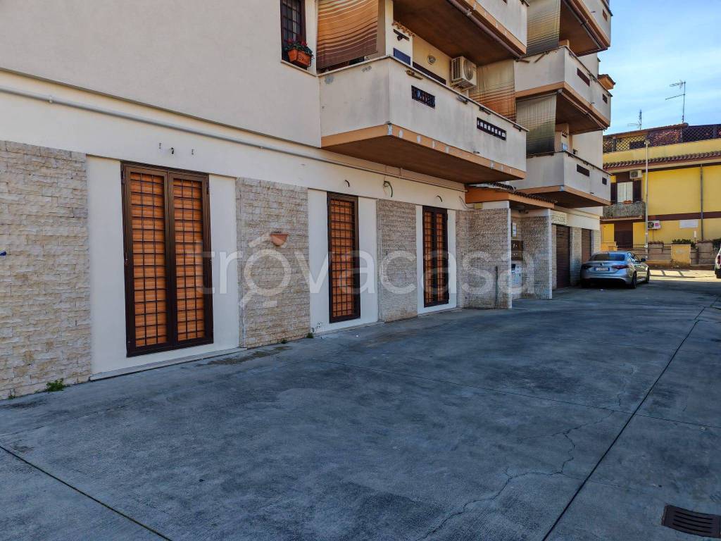 immagine annuncio 1 di 6