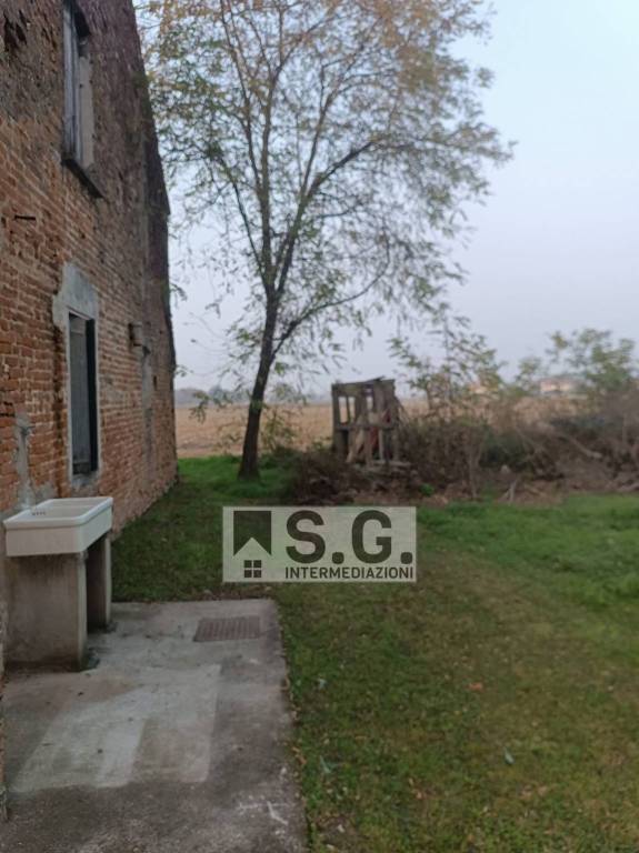 immagine annuncio 7 di 14