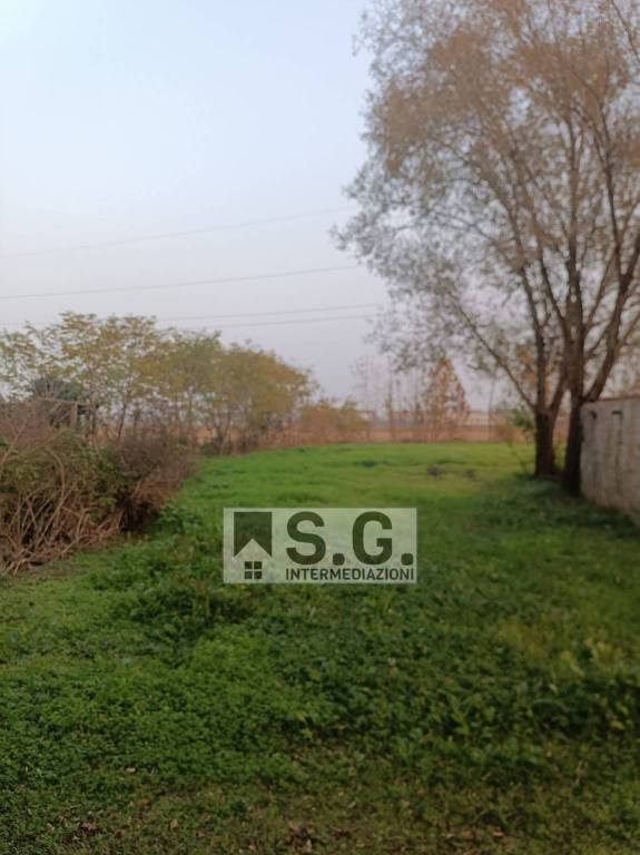 immagine annuncio 10 di 14