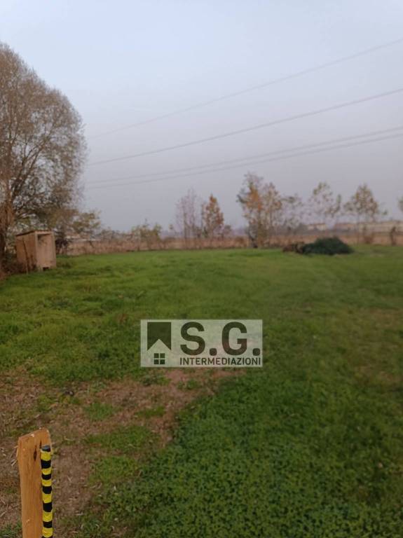 immagine annuncio 12 di 14