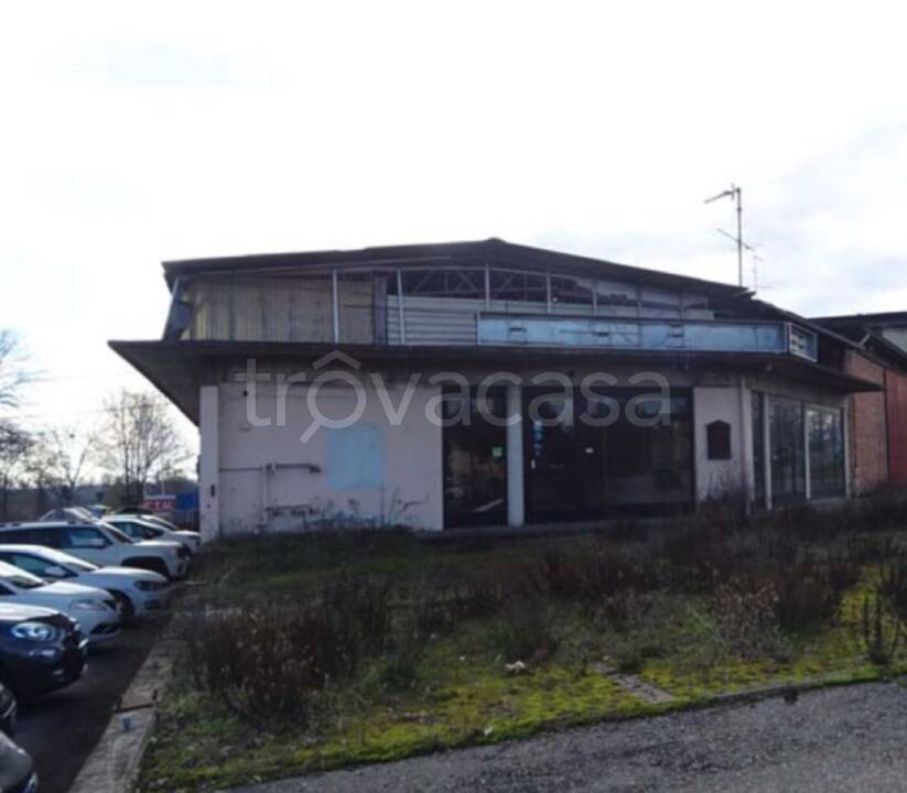 immagine annuncio 1 di 13