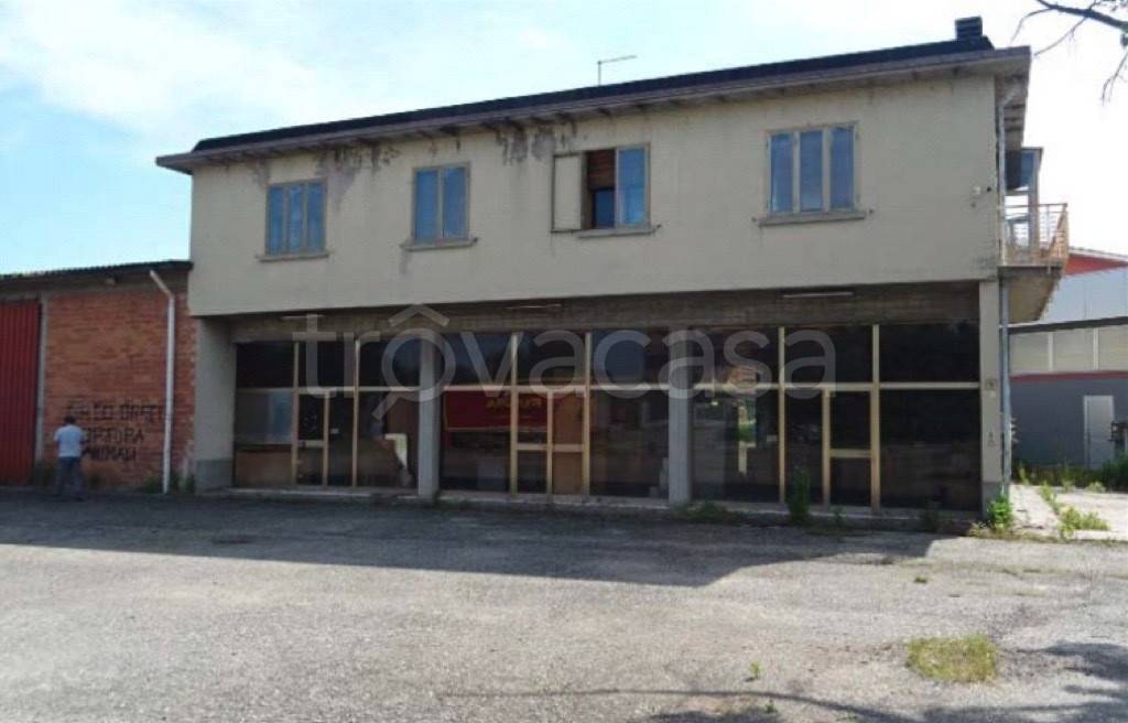 immagine annuncio 4 di 13