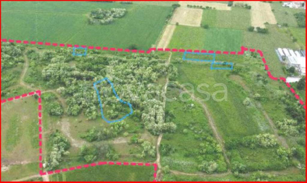 immagine annuncio 1 di 12