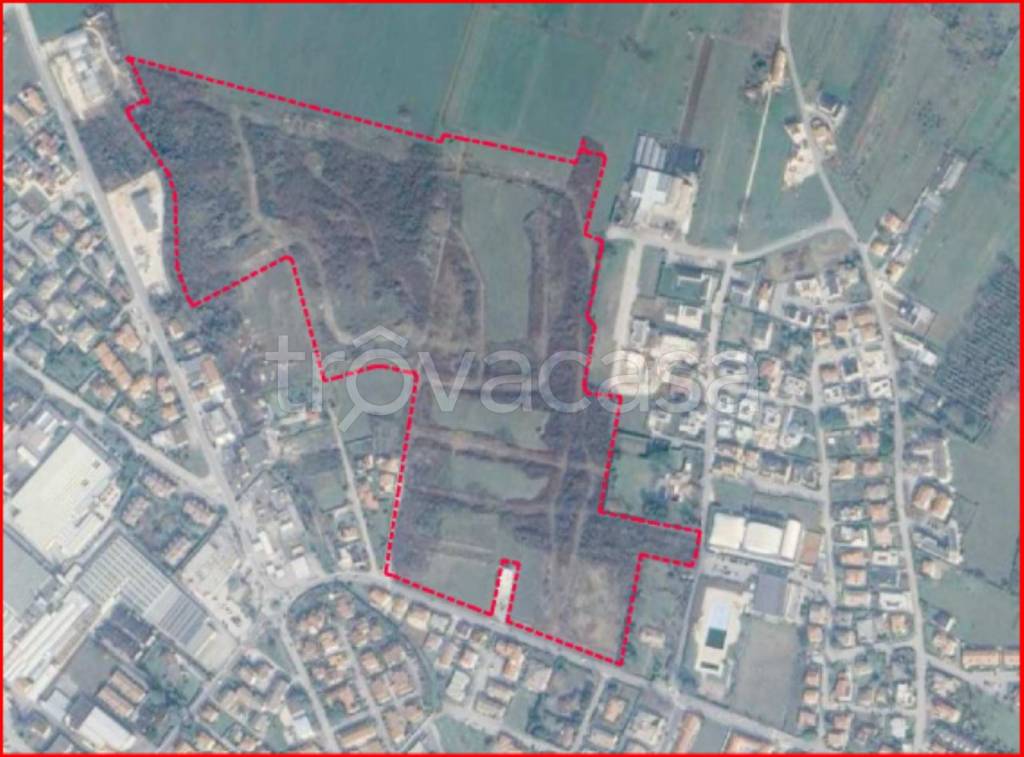 immagine annuncio 11 di 12