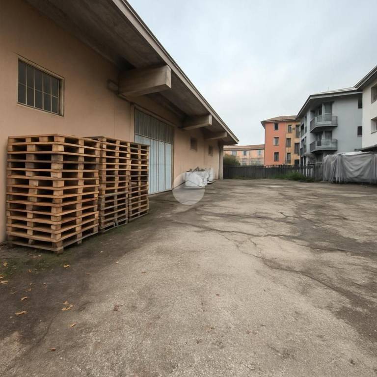 immagine annuncio 8 di 15