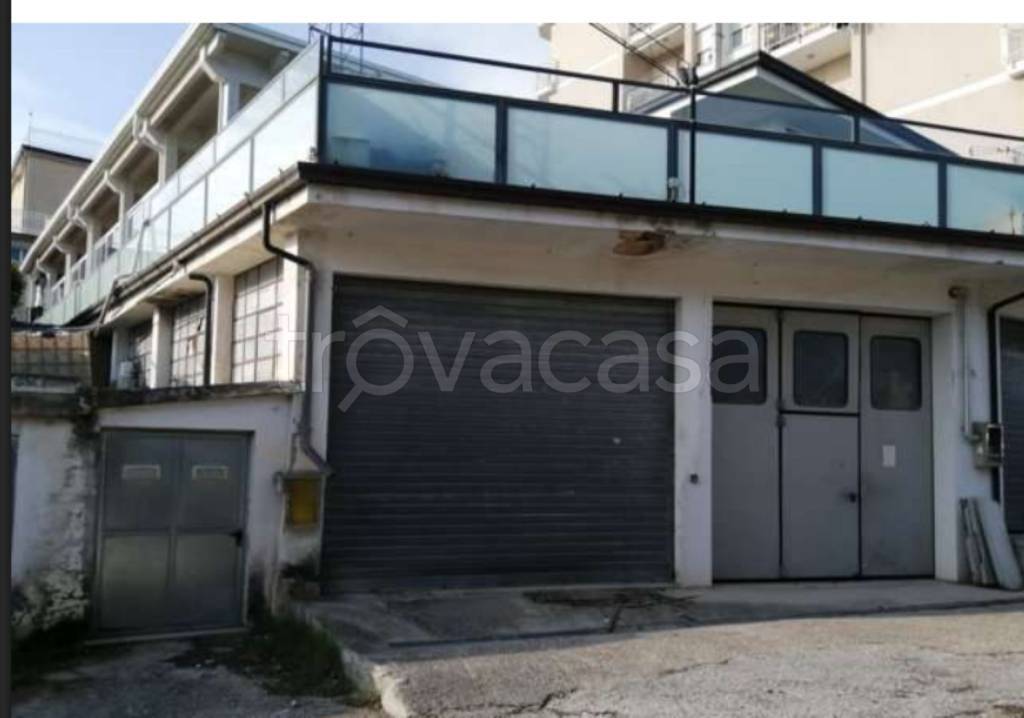 immagine annuncio 2 di 11