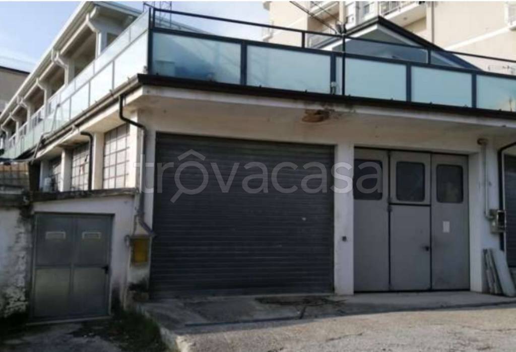 immagine annuncio 3 di 11