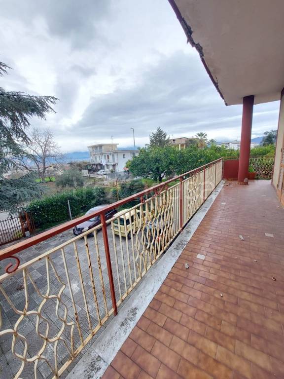 immagine annuncio 5 di 12