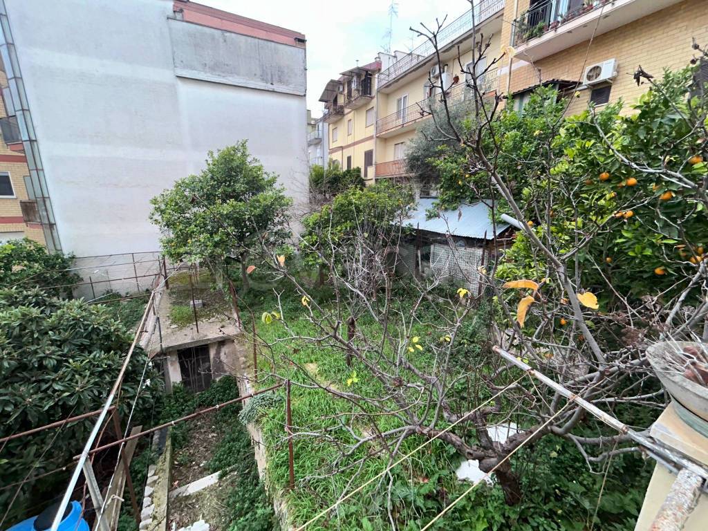 immagine annuncio 11 di 14