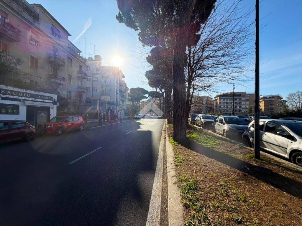 immagine annuncio 4 di 14