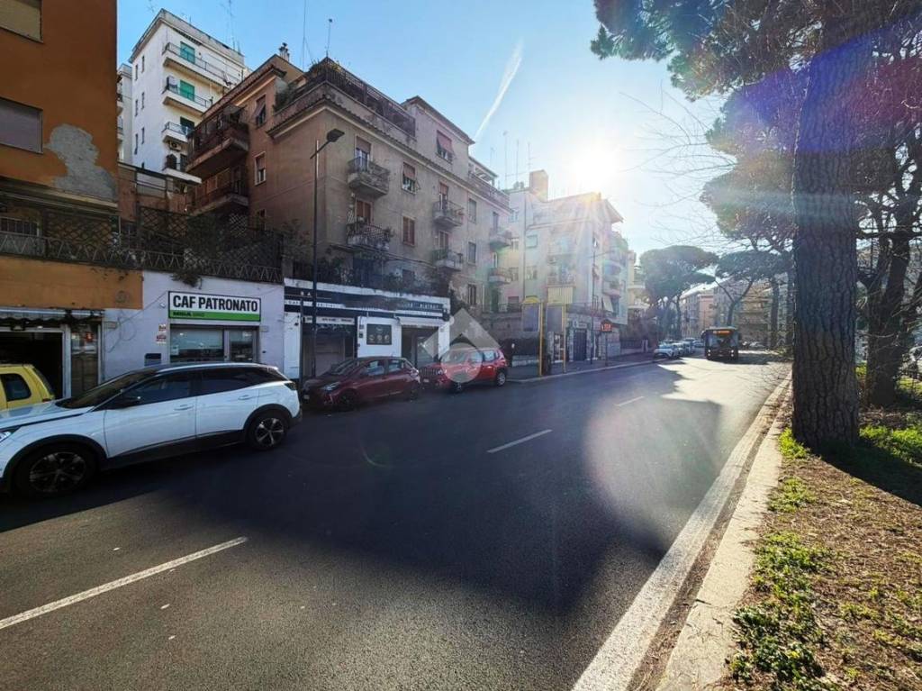 immagine annuncio 7 di 14