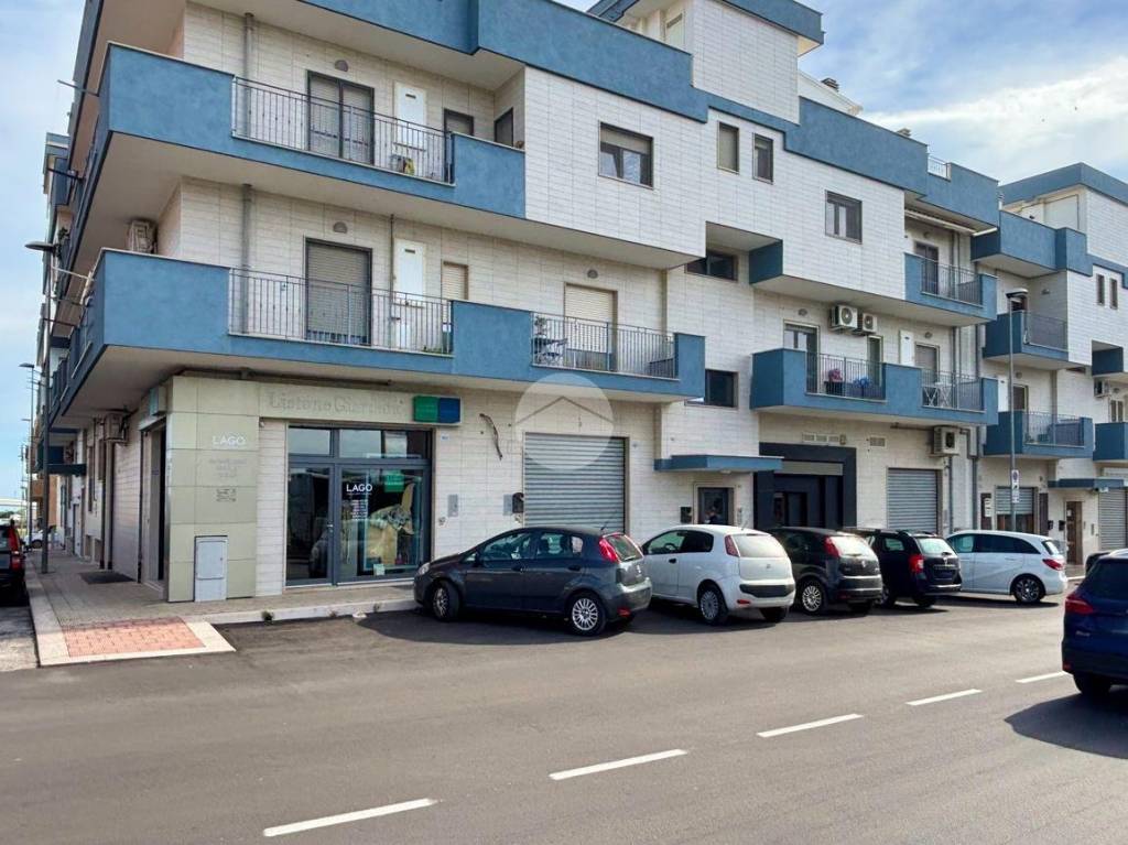 immagine annuncio 1 di 14