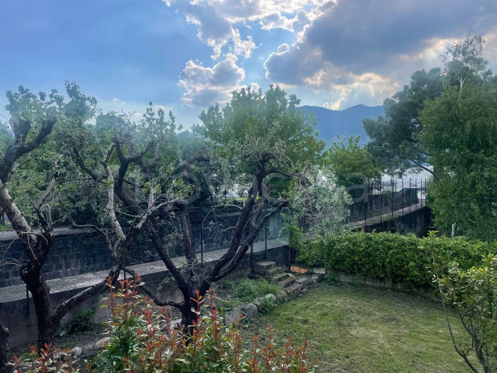 immagine annuncio 2 di 9