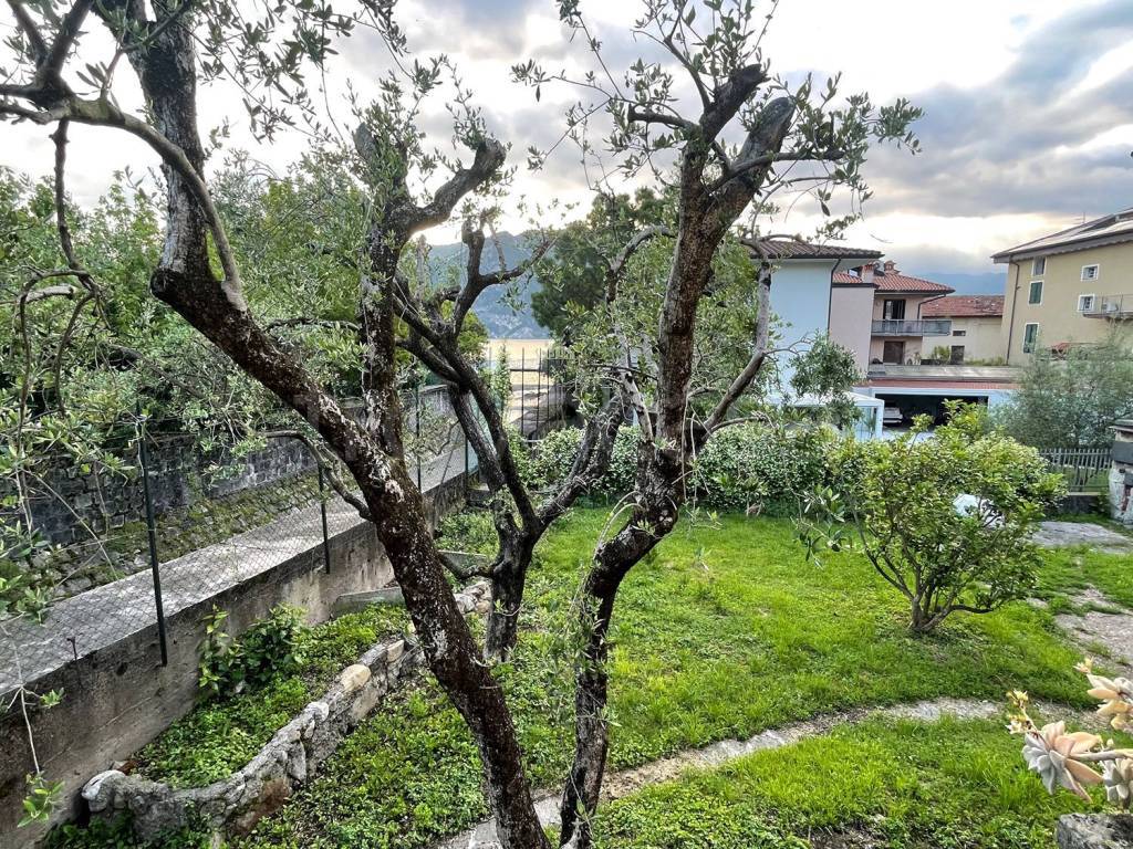 immagine annuncio 3 di 9