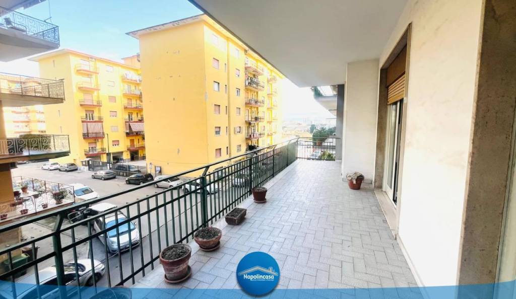 immagine annuncio 9 di 14