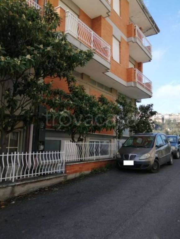 immagine annuncio 8 di 11