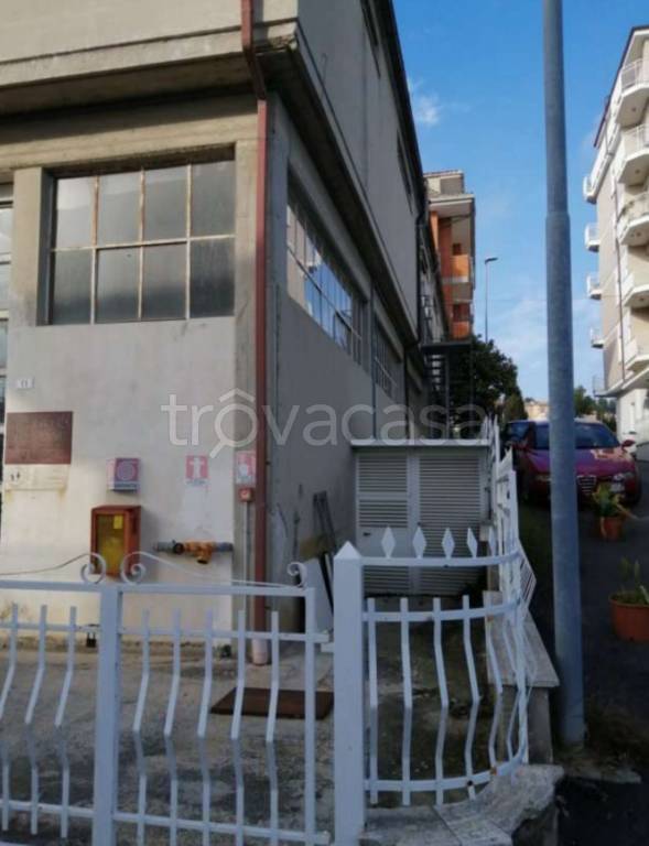 immagine annuncio 3 di 11