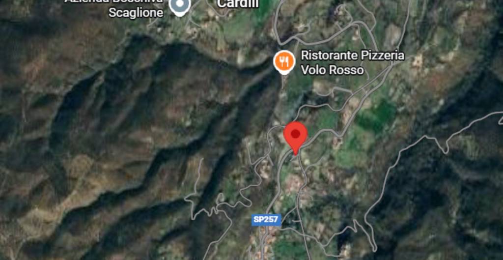 immagine annuncio 3 di 12