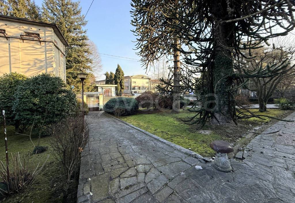 immagine annuncio 8 di 12