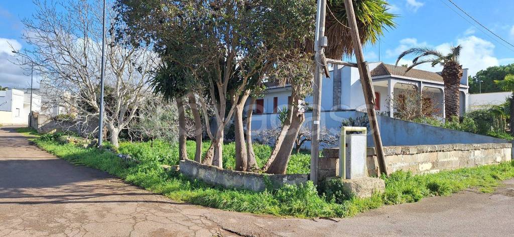 immagine annuncio 3 di 4