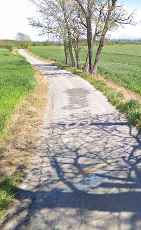 immagine annuncio 11 di 13