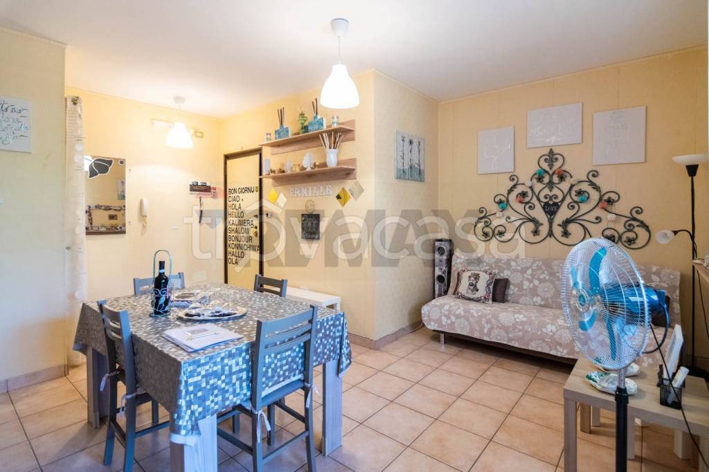 immagine annuncio 11 di 15