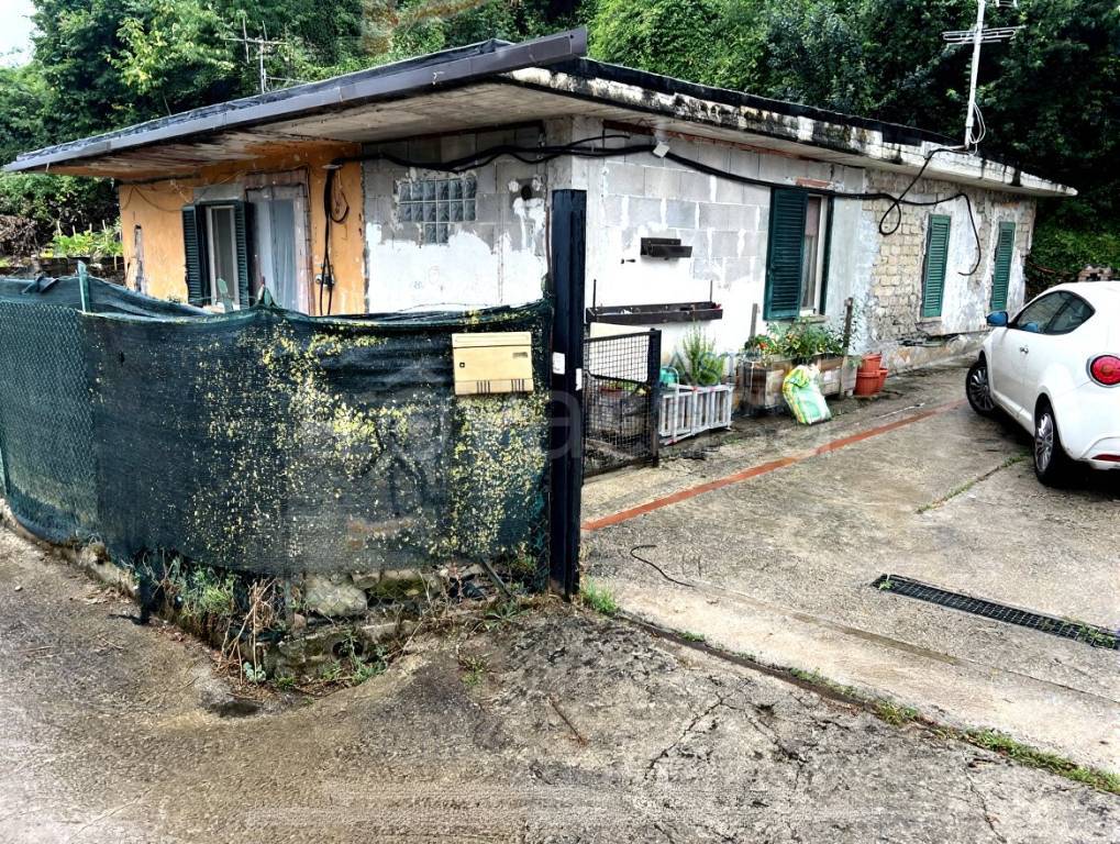 immagine annuncio 1 di 4